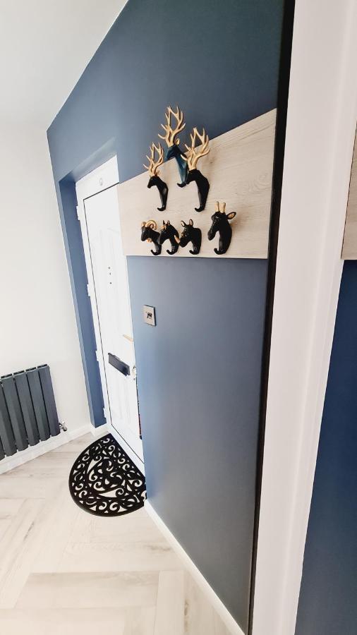 Apartmán Beautiful 2Bed House With Garden, Walking Distance To Town - Free Parking Glasgow Exteriér fotografie